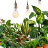 Flaspar LED Grow Light Bulb A19 Bulb for Indoor Plants-2