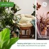 GE 9-Watt BR30 LED Grow Light Bulb for Indoor Plants-3