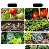 LED Grow Light Bulb helloify BR30 9W Full Spectrum-3