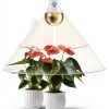 Flaspar LED Grow Light Bulb A19 Bulb for Indoor Plants-1