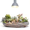 Necgemlex PAR38 LED Grow Light Bulb 29.99-5