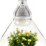 SGLEDs LED Light Bulb Daylight White 10W A19 E26-0
