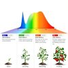 SGLEDs LED Light Bulb Daylight White 10W A19 E26-2