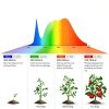 A19 Grow Light Bulb Lgghdm 9W Full Spectrum-4